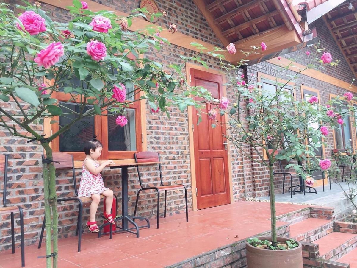 נין בין Tam Coc Tropical Homestay מראה חיצוני תמונה