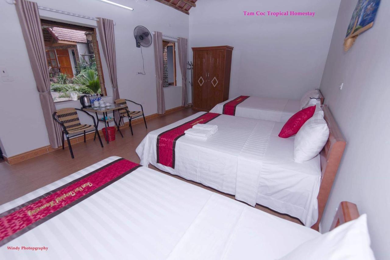 נין בין Tam Coc Tropical Homestay מראה חיצוני תמונה
